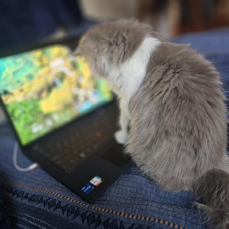 Lilac and white Scottish straight longhair cat sitting by laptop – BestOfTheBest cattery