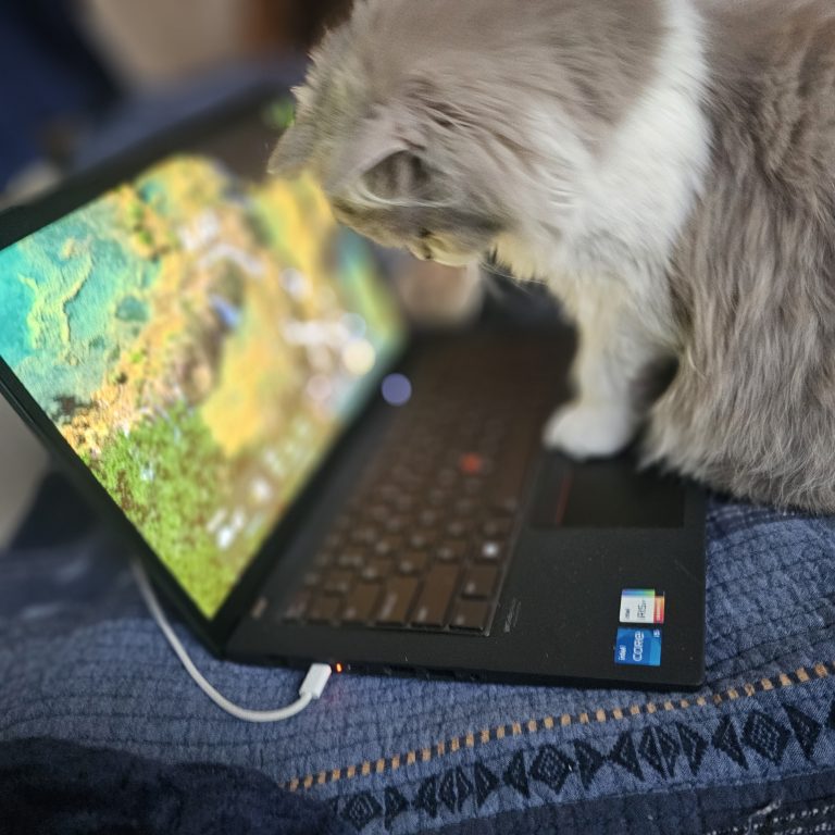 Lilac and white Scottish straight longhair cat sitting by laptop – BestOfTheBest cattery