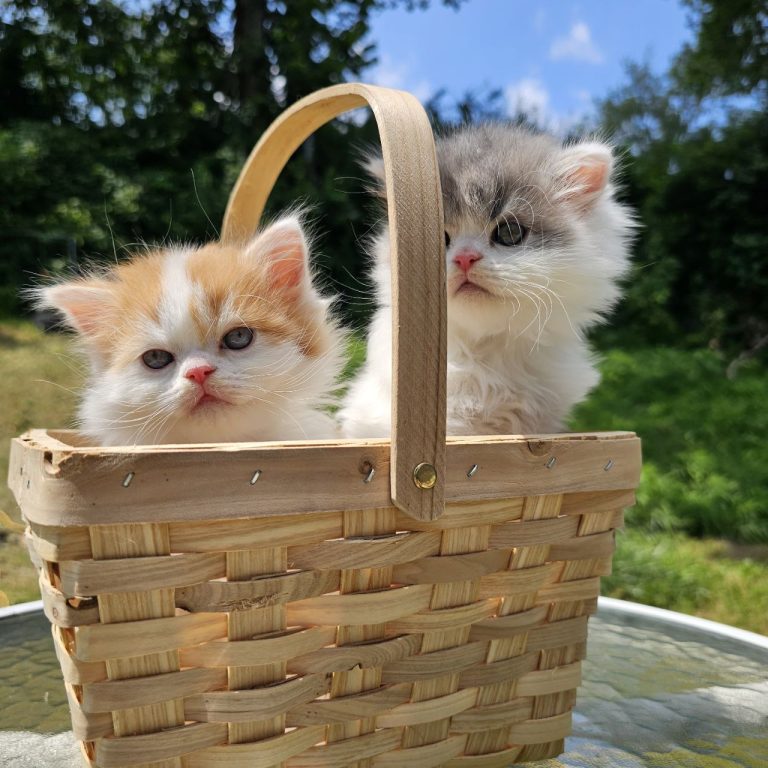 photo_2025-07-04_14-37-52