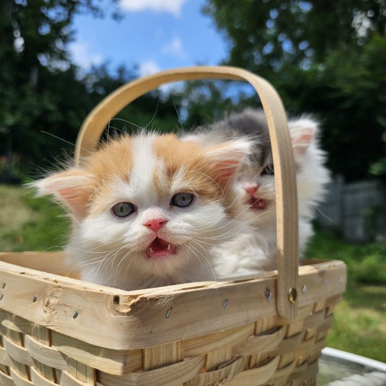 photo_2025-07-04_14-38-00
