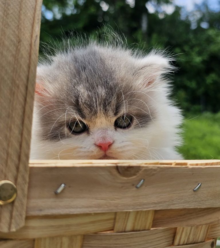 photo_2025-07-04_14-38-09