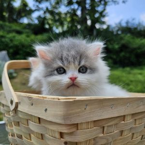 photo_2025-07-04_14-38-16