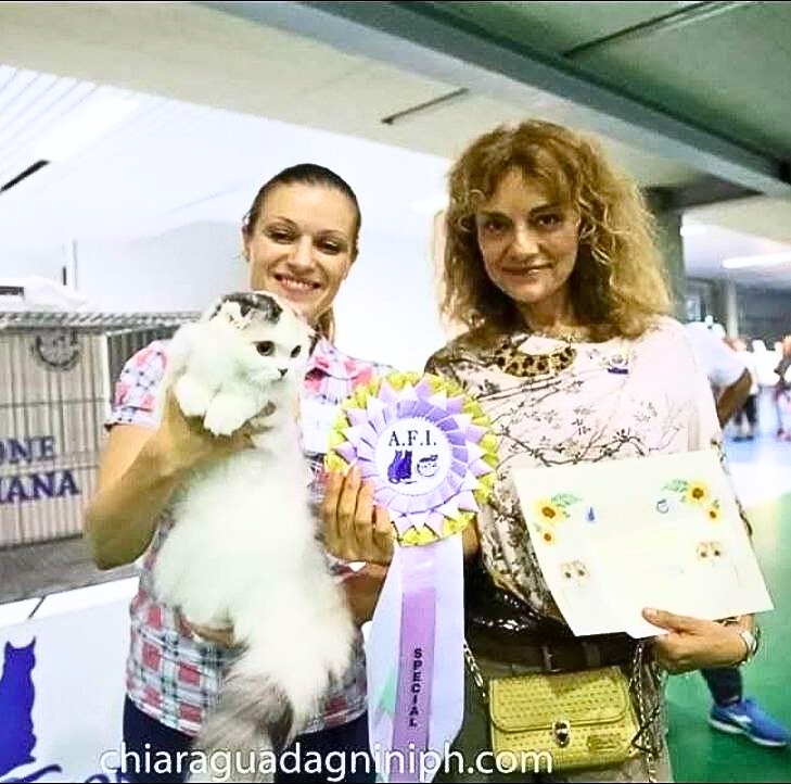 Darya Nominatium WCF